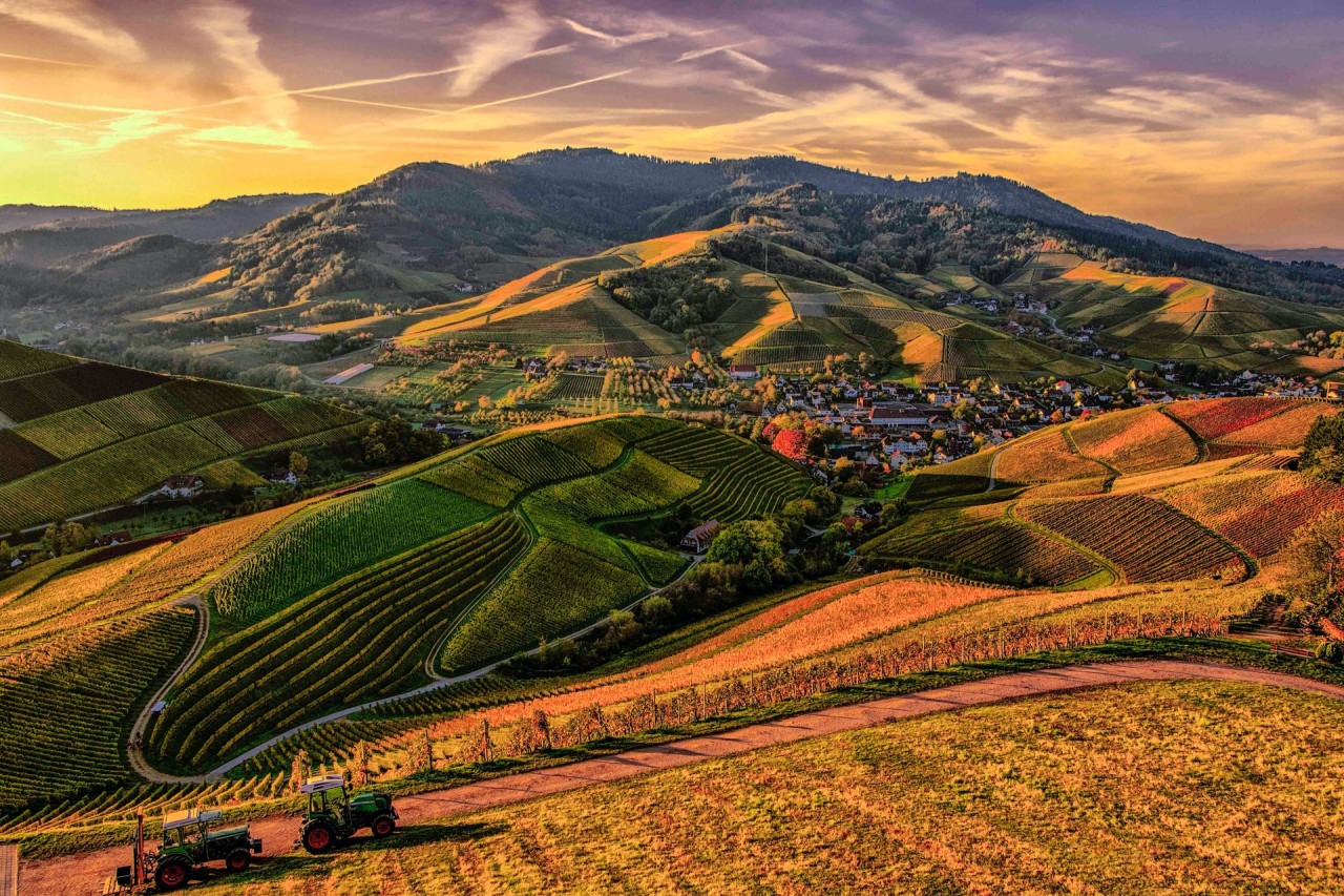 Farming Community. Photo by Christian Heitz