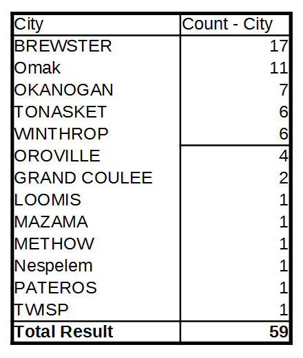 PPP Loan Data - Large - City