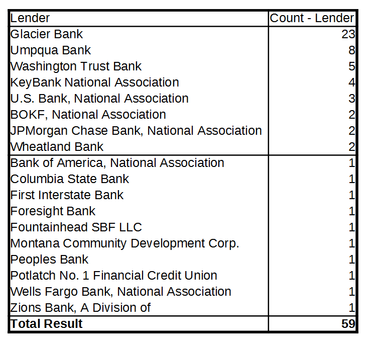 PPP Loan Data - Large - Lender